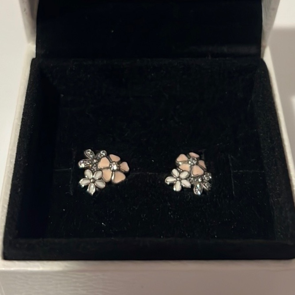 Pandora Earrings